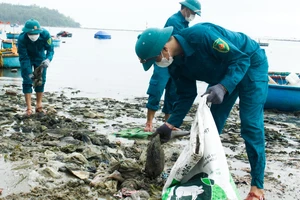 Hàng trăm người tham gia thu gom gần 90 tấn rác thải sau mưa lũ ven biển Quảng Ngãi