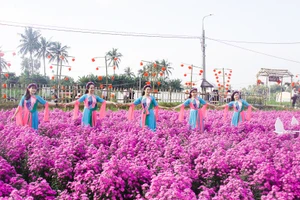 Quảng Ngãi: Vườn hoa hơn 4.000m² nở rộ, thu hút hàng trăm khách tham quan