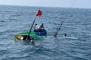 Phát hiện thi thể nghi là ngư dân mất tích trong vụ tàu hàng tông chìm tàu cá tại Quảng Ngãi