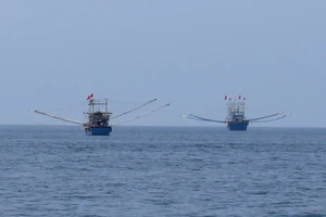 Quảng Ngãi: Một ngư dân mất tích khi đang hành nghề trên vùng biển Trường Sa