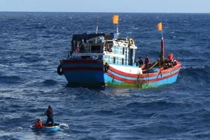 Quảng Ngãi: Một ngư dân mất tích trên biển
