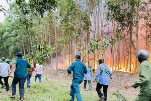 Đốt nương rẫy, dọn thực bì, sử dụng lửa trong rừng là nguyên nhân chính các vụ cháy rừng