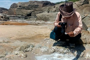 Phát hiện vùng làm muối cổ xưa của cư dân Văn hóa Sa Huỳnh