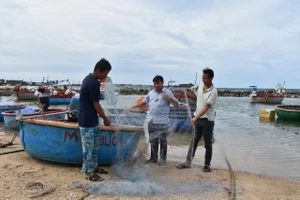 Quảng Ngãi: Vũng neo trú thuyền thúng vùng biển ven bờ giúp ngư dân an tâm khi mưa bão