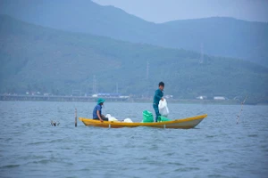 Hai vợ chồng đánh cá trên đầm An Khê, Quảng Ngãi, bị lật ghe tử vong