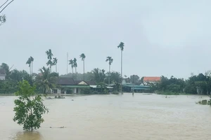 Lũ trên sông Trà Câu đang lên, nhiều nhà dân tại phường Phổ Minh bị ngập