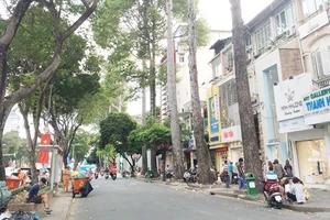 Xử lý 28 cây xanh trên đường Lê Lợi do ảnh hưởng tuyến metro