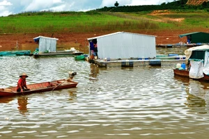 Khoanh nợ cho các gia đình bị thiệt hại do cá chết trên hồ thủy điện