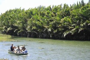 Quảng Ngãi: Chính quyền muốn chặt 50ha dừa nước, nhà khoa học nói phải giữ