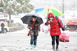 Tuyết rơi dày làm tăng giá rau quả ở Trung Quốc