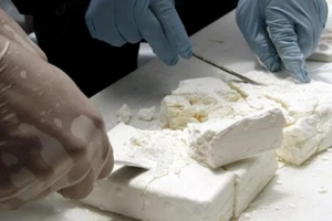 Maroc bắt giữ 541 kg cocaine 