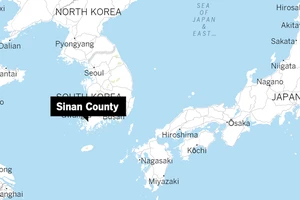 Giải cứu hơn 160 người trên tàu khách mắc cạn ở Hàn Quốc