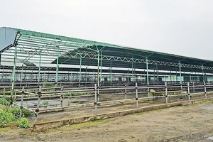 Một góc trại chăn nuôi bò của dự án chăn nuôi bò giống và bò thịt tại Hà Tĩnh do Công ty CP chăn nuôi Bình Hà thực hiện ở địa bàn huyện Kỳ Anh, tỉnh Hà Tĩnh bị bỏ hoang