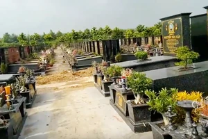 Các diện được mai táng tại Nghĩa trang Chính sách TPHCM 