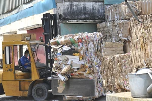 Siết nhập khẩu phế liệu: Ngành giấy bao bì lao đao