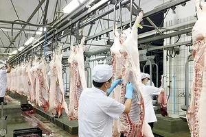 Sản xuất và sử dụng thịt heo an toàn