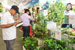 Hơn 350 gian hàng tại Hội chợ - Triển lãm “Giống và nông nghiệp công nghệ cao” 
