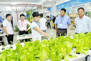 TPHCM xúc tiến các chương trình hàng Việt quy mô lớn 