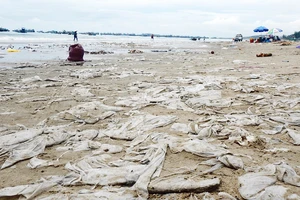Ô nhiễm nghiêm trọng ở bãi Sau biển Mũi Né