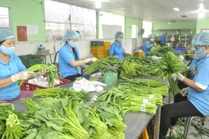 Nâng cao giá trị cho nông sản Việt Nam