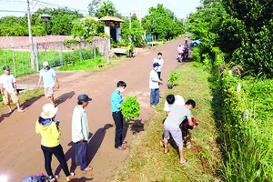 Vedan Việt Nam tài trợ 700 cây xanh và nhiều phần quà giá trị cho “Tuần lễ Đồng Nai xanh” 2020