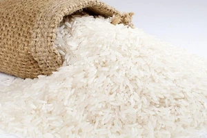 Giá gạo trắng của Việt Nam đang cao nhất thế giới
