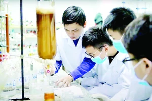 Tại phòng thí nghiệm của Viện Hóa sinh biển - Viện Hàn lâm Khoa học và Công nghệ Việt Nam, Tiến sĩ Lê Nguyễn Thành hướng dẫn nhóm Tử Minh thực hiện dự án về keo ong dú