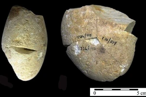 Công cụ mài bằng đá có niên đại khoảng 350.000 năm 
