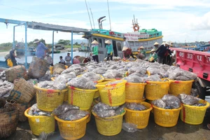 Bà Rịa – Vũng Tàu: 2 thuyền viên tử vong nghi do ngộ độc khí hầm cá 