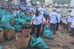 Đông đảo người dân tham gia gom rác dạt vào bờ biển TP Vũng Tàu