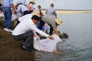 Lãnh đạo Sở NN-PTNT tỉnh Bà Rịa - Vũng Tàu cùng người dân thả cá giống xuống hồ Sông Ray, huyện Xuyên Mộc