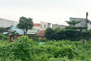 Còn nhiều nhà đất tại phường Hiệp Bình Chánh (quận Thủ Đức, TPHCM) chưa được cấp GCN vì nằm trong khu quy hoạch ga Bình Triệu