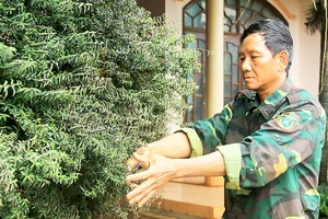 Cựu chiến binh Ngô Công Đoan bên vườn cây cảnh của gia đình
