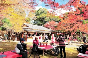 Cảnh sắc mùa thu Nhật Bản