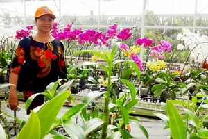 Chị Nguyễn Thị Huê tham quan học tập mô hình nông nghiệp hiệu quả tại Đồng Nai