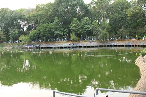 Hồ nước Công viên Hoàng Văn Thụ bốc mùi hôi thối