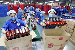 中原股份公司在北江省加工三合一咖啡出口。（图：黎名蓝）