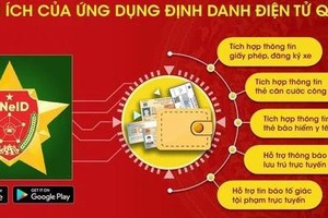 民众只在Appstore和CHPlay两个应用程式中，下载及安装VneID应用程式。（图：视频截图）