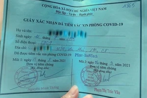 Vụ cô gái “xin ông anh” tiêm vaccine: Phó Chủ tịch phường bị đình chỉ công tác