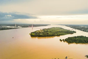 Liên kết 7 tỉnh thành Nam Sông Hậu trong bối cảnh phòng chống dịch Covid-19