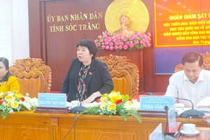 Chủ nhiệm Ủy ban Xã hội của Quốc hội Nguyễn Thúy Anh phát biểu tại buổi làm việc