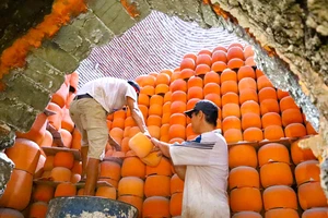 Vĩnh Long: Quy hoạch hơn 700 lò gạch, gốm thành khu du lịch trọng điểm