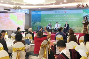 Trung Tâm nghiên cứu Nông Lâm thế giới (ICRAF) cùng Tổng cục Lâm nghiệp và các đối tác khác trong và ngoài nước sẽ tổ chức hội nghị với chủ đề “Khai thác tiềm năng của Nông Lâm kết hợp cho một ASEAN thịnh vượng và năng động”