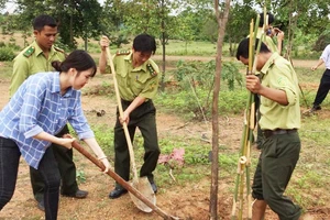 Lực lượng kiểm lâm VQG Yok Đôn và phóng viên báo chí tham gia trồng cây. Ảnh CÔNG HOAN