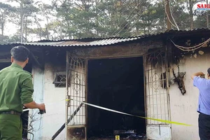 Chính phủ chỉ đạo điều tra vụ cháy, nổ khiến 5 người ở Đà Lạt tử vong
