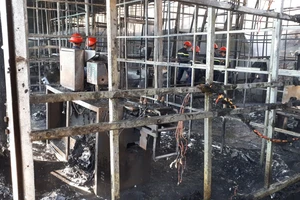 Cháy lớn tại Công ty sâm Ngọc Linh Việt Nam