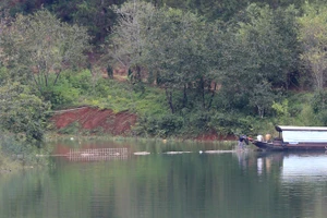 Tháo dỡ bờ kè xây dựng “chui” tại hồ Tuyền Lâm - Đà Lạt
