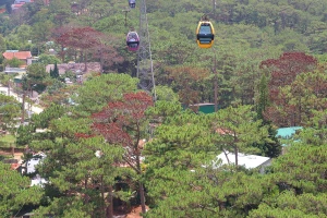 Giải toả nhiều công trình trái phép dưới tán rừng thông ở Đà Lạt
