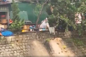 Xử lý người đổ 20 túi rác thẳng xuống suối Cam Ly – Đà Lạt