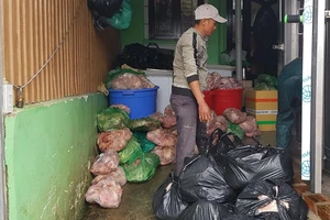 Phạt cơ sở trữ 8 tấn thịt heo “bẩn” hơn 100 triệu đồng 